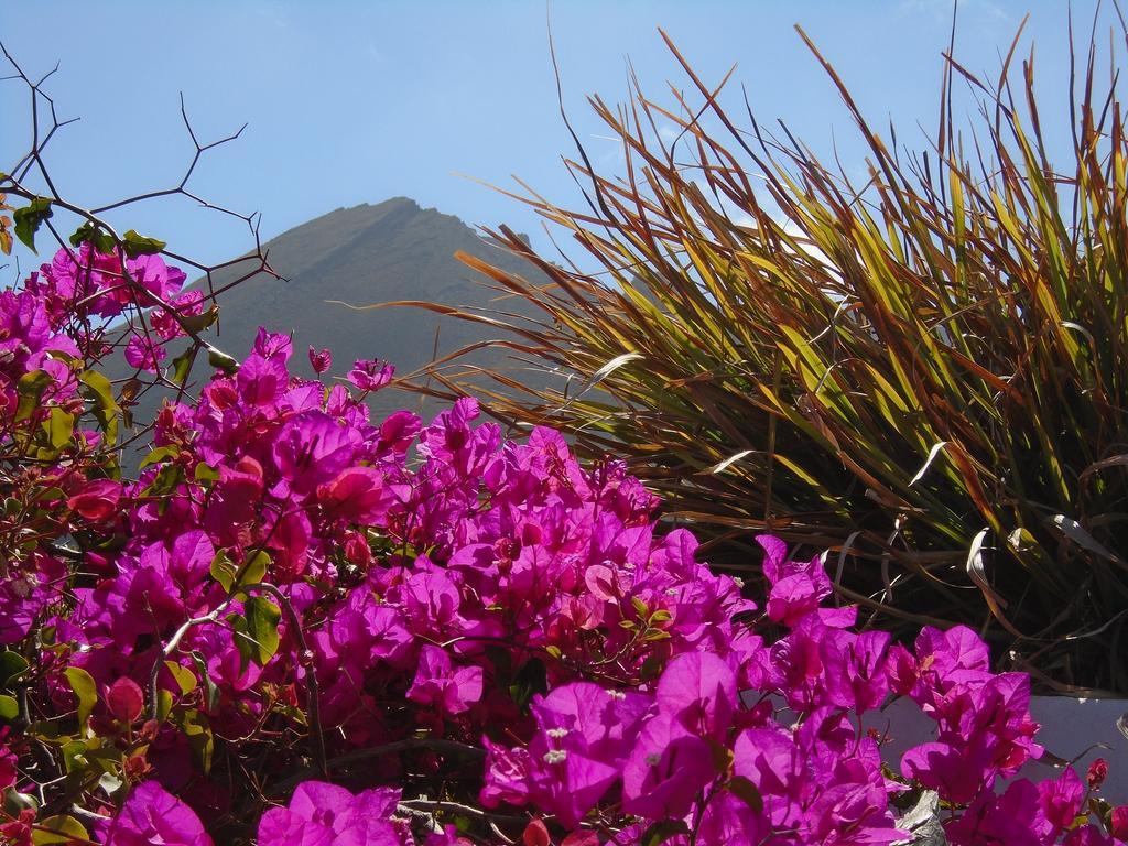 El Cortijo Eco Finca Ye Bagian luar foto