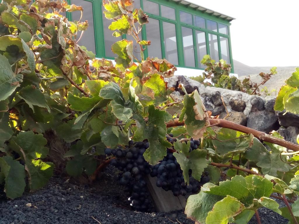 El Cortijo Eco Finca Ye Bagian luar foto